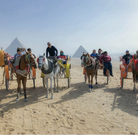 top tours and travels in mysore