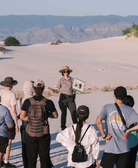 popular tours and travels agent in mysore